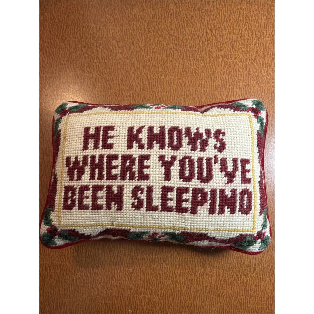 VTG Needlepoint Pillow 9x6 Naughty Cheeky "He Knows Where You've Been Sleeping"